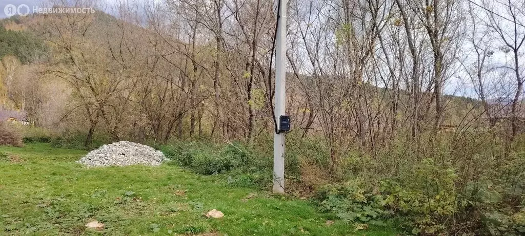 Участок в Усть-Муны, Берёзовая улица (10 м) - Фото 2