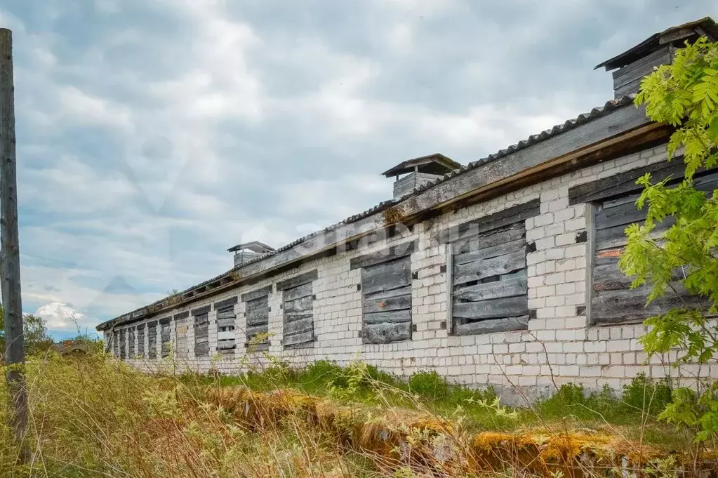 Склад в Карелия, Прионежский район, Заозерское с/пос, д. Суйсарь ул. . - Фото 0