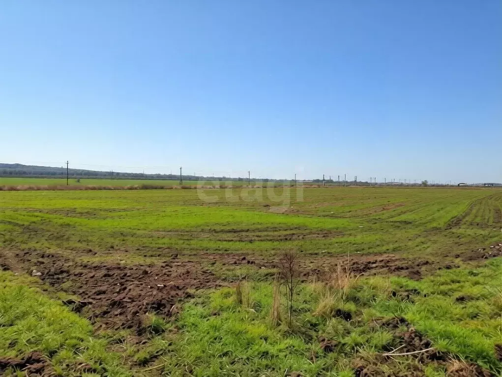 Участок в Краснодарский край, Темрюк ул. Ильи Павленко (10.0 сот.) - Фото 2