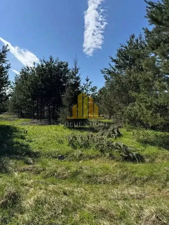 Участок в Ленинградская область, Выборгский район, Полянское с/пос, ... - Фото 2