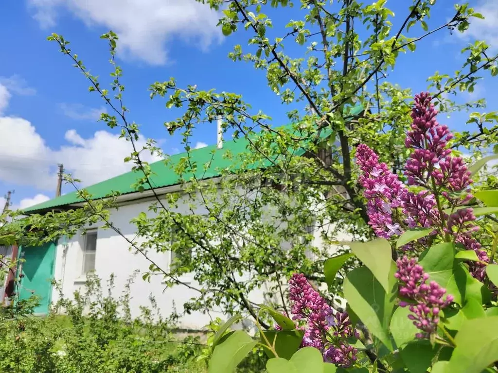 Дом в Калужская область, Думиничи пгт ул. Некрасова, 10 (75 м) - Фото 1