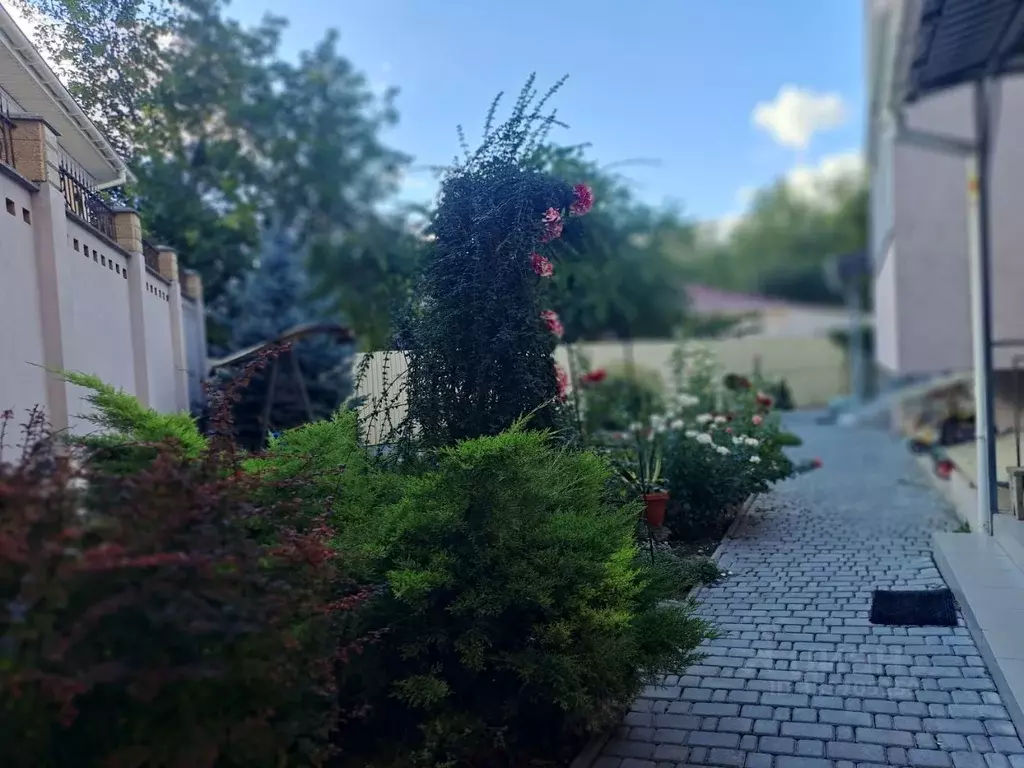 1-к кв. Крым, Симферополь ул. Трубаченко, 16Ц (30.0 м) - Фото 2