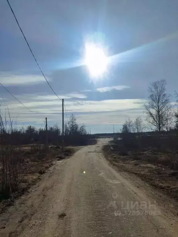 Участок в Ленинградская область, Приозерский район, Плодовское с/пос, ... - Фото 1