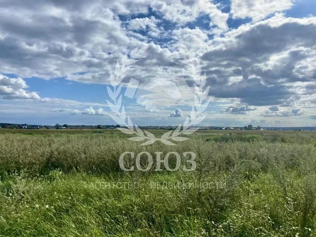 Участок в Калужская область, Дзержинский район, с. Дворцы  (8.0 сот.) - Фото 2