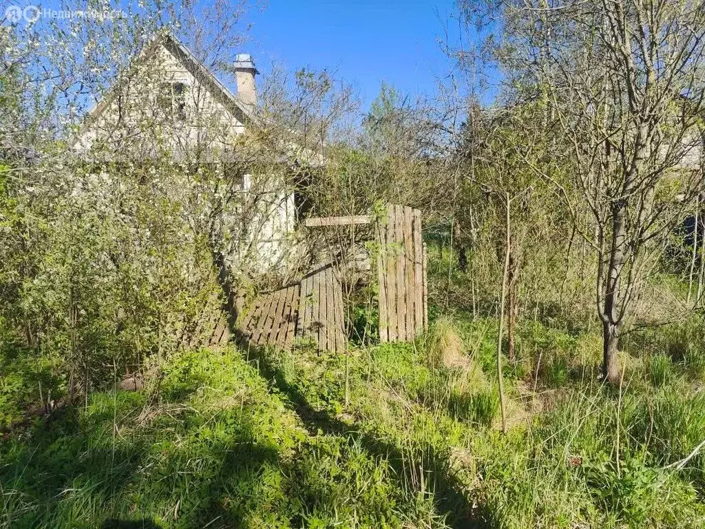 Участок в Кировский район, Синявинское городское поселение, ... - Фото 1