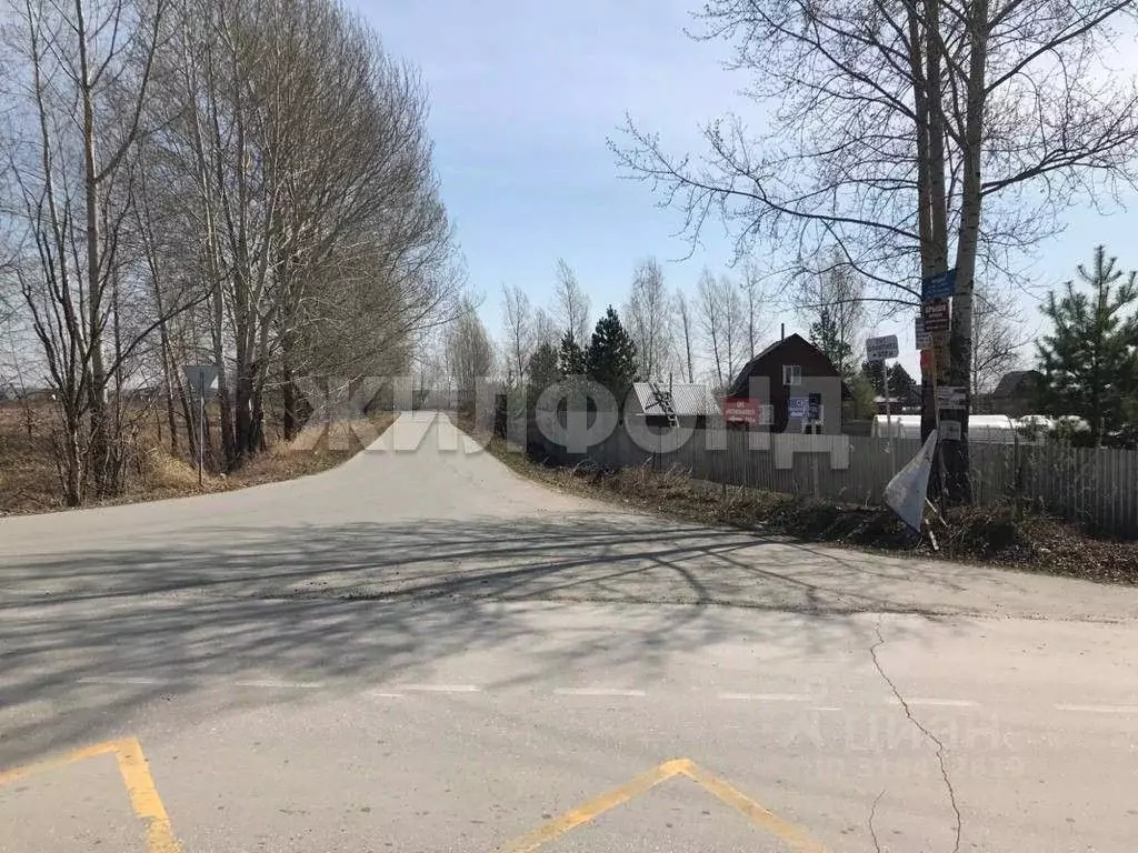 Участок в Новосибирская область, Новосибирский район, Кудряшовский ... - Фото 0