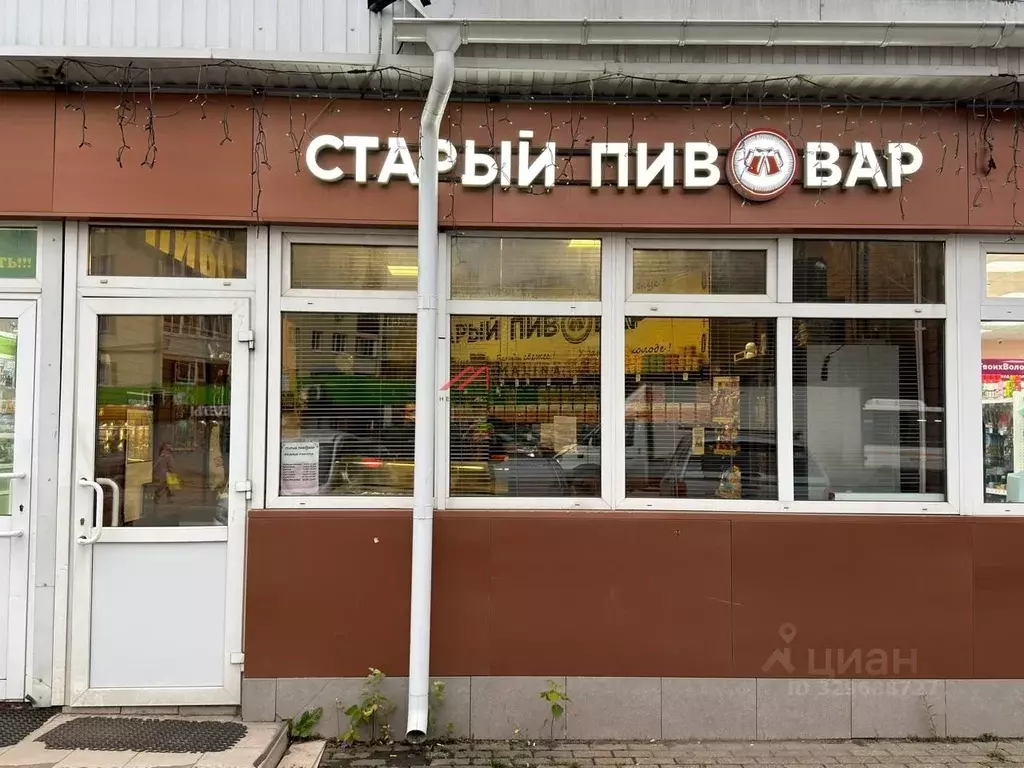 Торговая площадь в Московская область, Дедовск г. Истра муниципальный ... - Фото 1