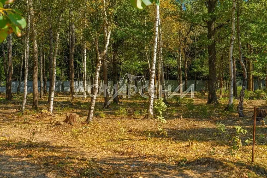 Участок в Московская область, Наро-Фоминский городской округ, д. ... - Фото 1