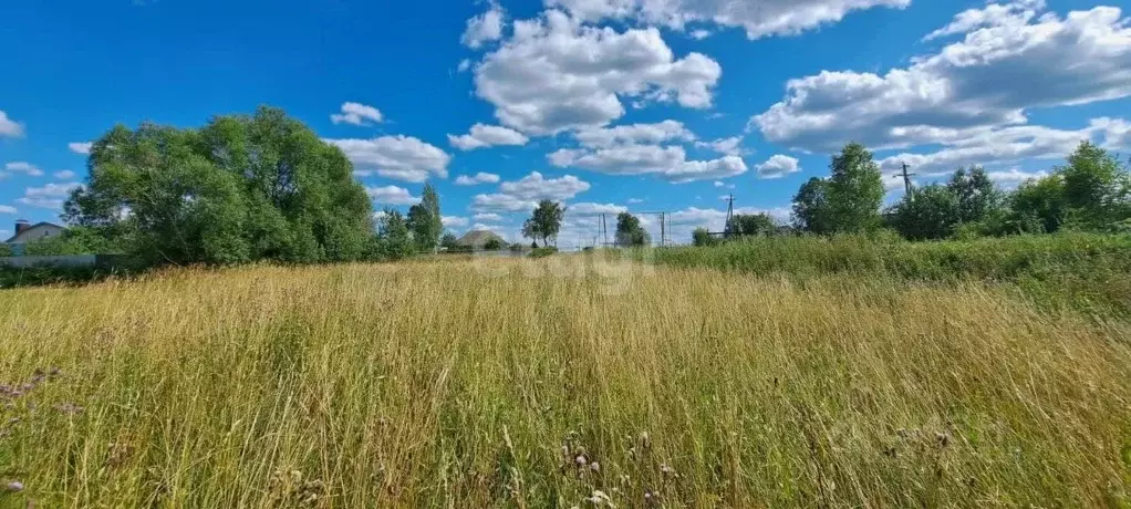 Участок в Марий Эл, Медведевский район, Ежовское с/пос, д. Ятманово ... - Фото 0