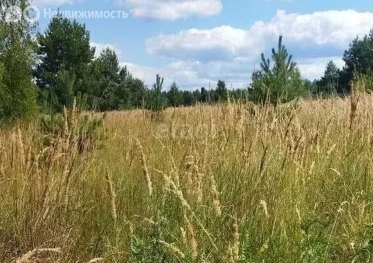 Участок в село Новоживотинное, Дорожная улица (23 м) - Фото 1