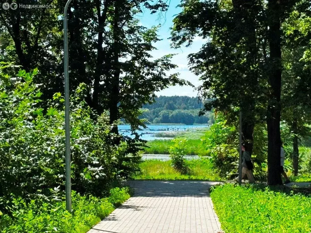 1-комнатная квартира: Конаково, улица Энергетиков, 4 (30.6 м) - Фото 2