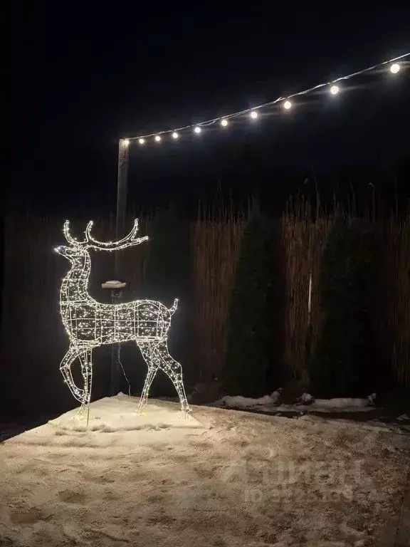 Дом в Псковская область, Псков Торошинская ул. (750 м) - Фото 2