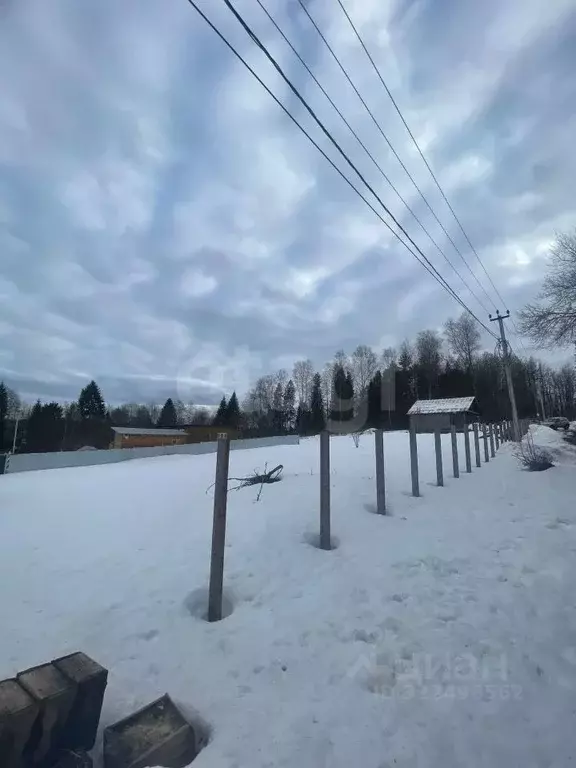Участок в Вологодская область, д. Марково (Лесковский сельсовет), ... - Фото 1