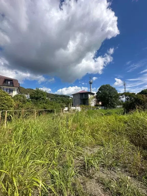 Участок в Краснодарский край, Сочи Урожайная ул., 35В (4.0 сот.) - Фото 2