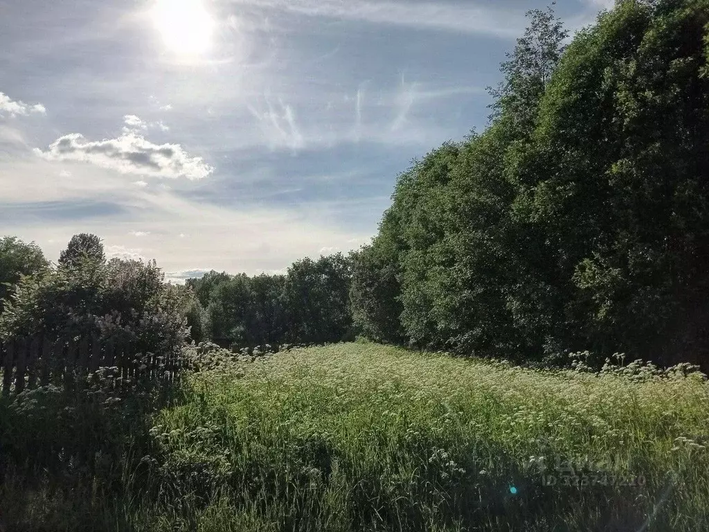 Участок в Новгородская область, Маловишерское городское поселение, д. ... - Фото 2