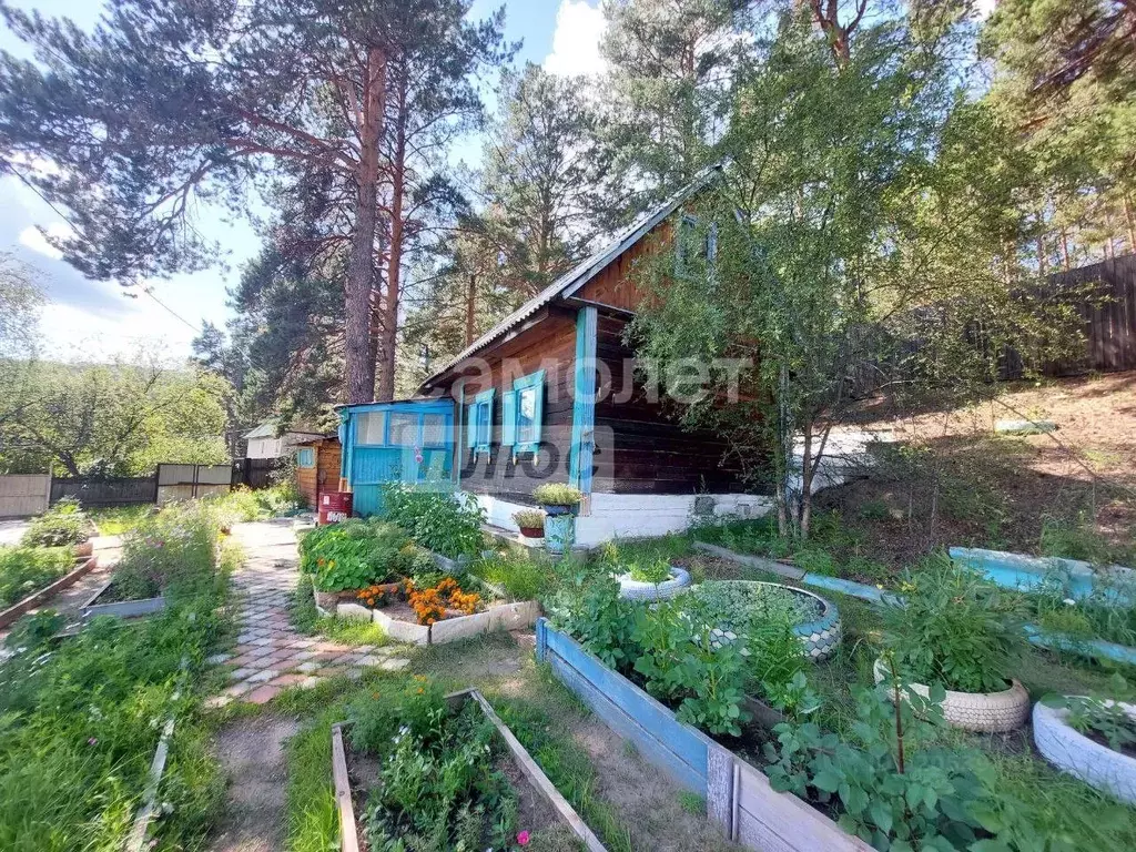 Дом в Забайкальский край, Читинский район, Лесной СНТ ул. Кедровая (20 ... - Фото 1