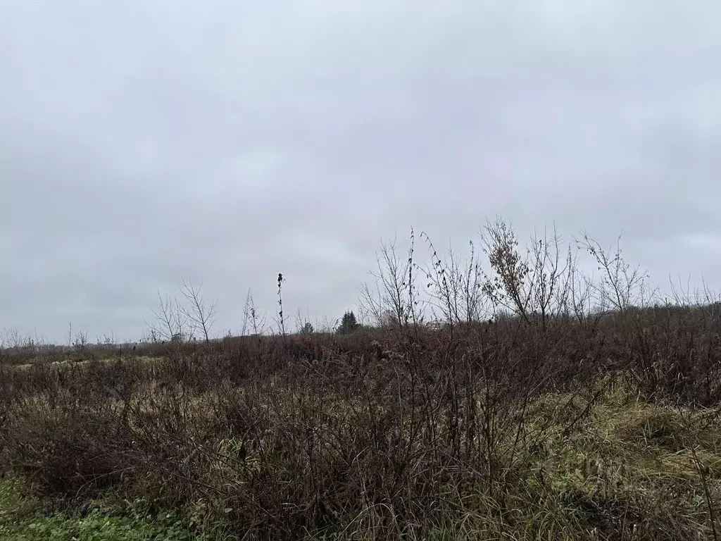 Участок в Московская область, Серебряные Пруды муниципальный округ, с. ... - Фото 1