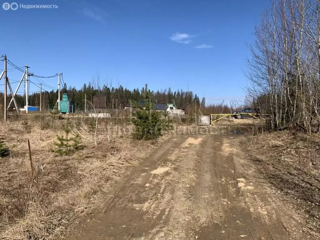 Участок в Ленинградская область, Сосновый Бор (10 м) - Фото 1