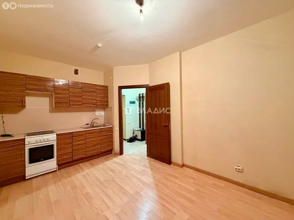 1-комнатная квартира: деревня Анкудиновка, Русская улица, 4 (37.9 м) - Фото 2