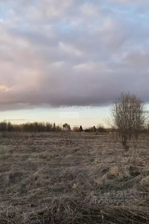 Участок в Ленинградская область, Тосненский район, Любанское городское ... - Фото 2