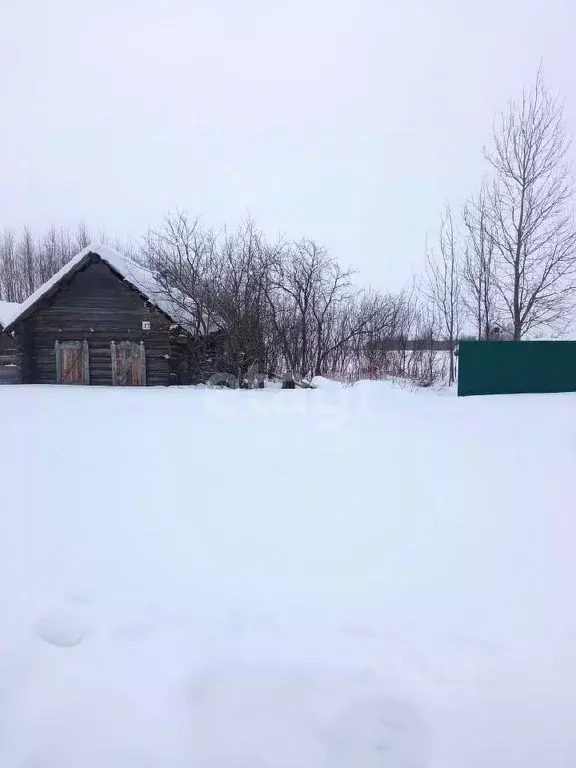 Участок в Марий Эл, Медведевский район, Азяковское с/пос, д. Шеклянур ... - Фото 0