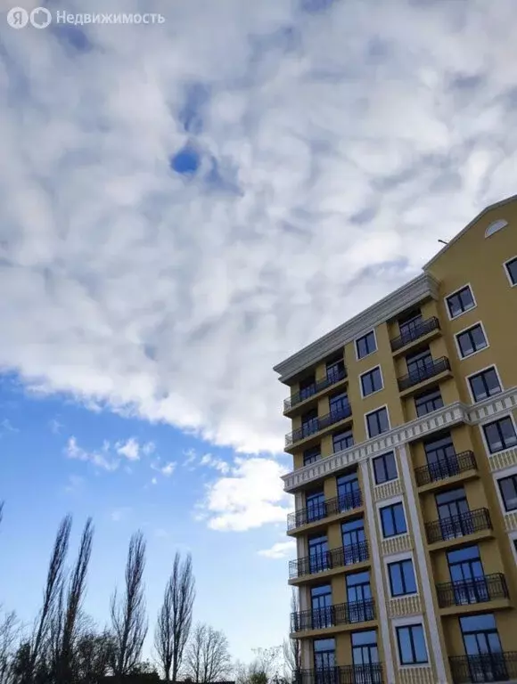 1-комнатная квартира: Заозёрное, улица Аллея Дружбы, 7 (25.88 м) - Фото 2