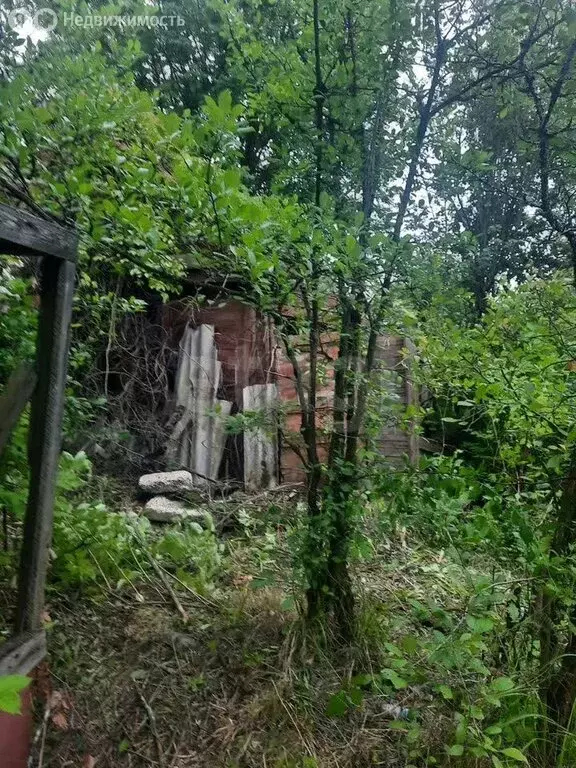 Участок в Нижний Новгород, СНТ Победа (5.4 м) - Фото 2