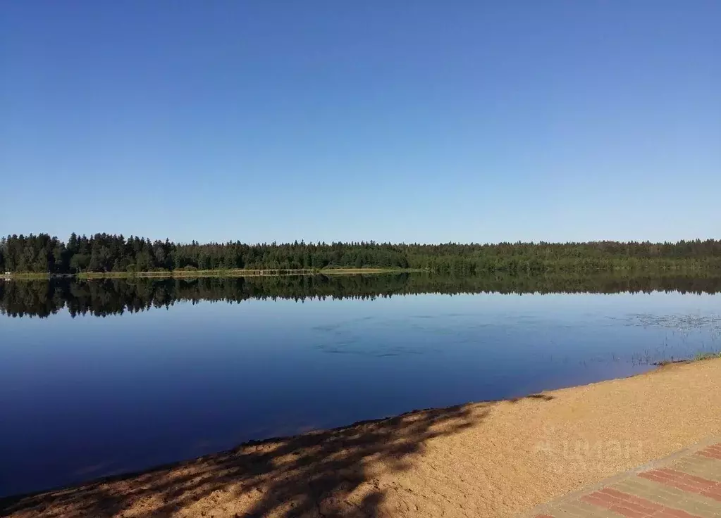 Участок в Московская область, Клин городской округ, Заповедное Озеро ... - Фото 2
