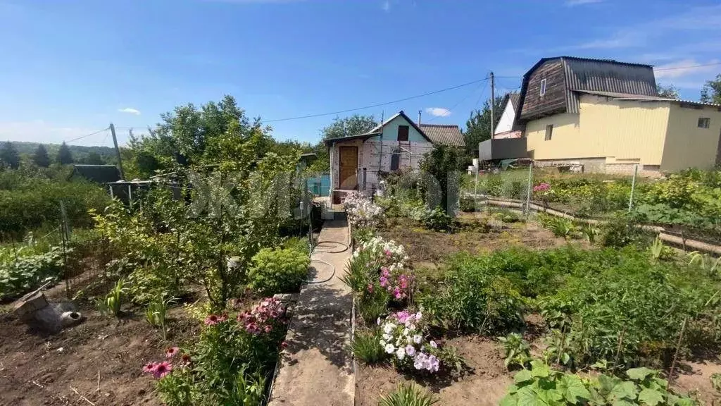 Дом в Белгородская область, Яковлевский городской округ, с. Шопино ... - Фото 0