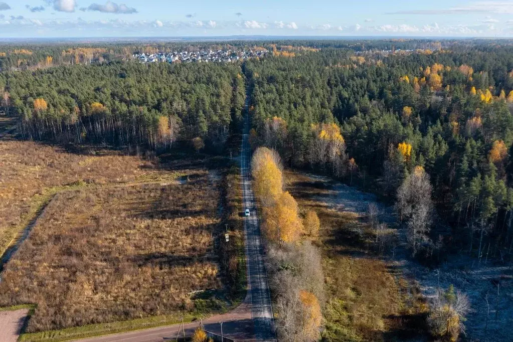 Участок в Ленинградская область, Приозерский район, Сосновское с/пос, ... - Фото 2