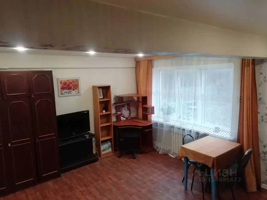 1-к кв. Тульская область, Новомосковск ул. Мира, 3 (26.5 м) - Фото 2