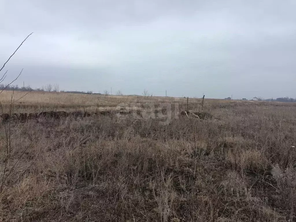 Участок в Курская область, Курский район, Новопоселеновский сельсовет, ... - Фото 1