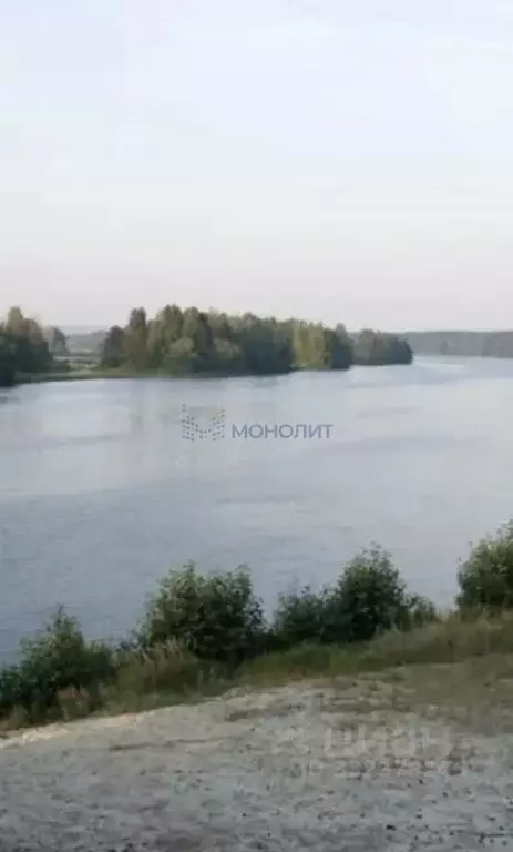 Участок в Нижегородская область, Воротынский муниципальный округ, с. ... - Фото 1