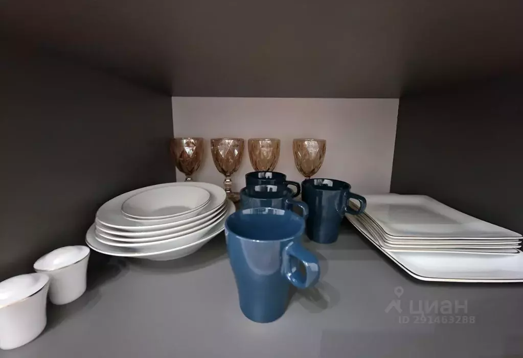 1-к кв. Псковская область, Псковский район, Завеличенская волость, д. ... - Фото 2