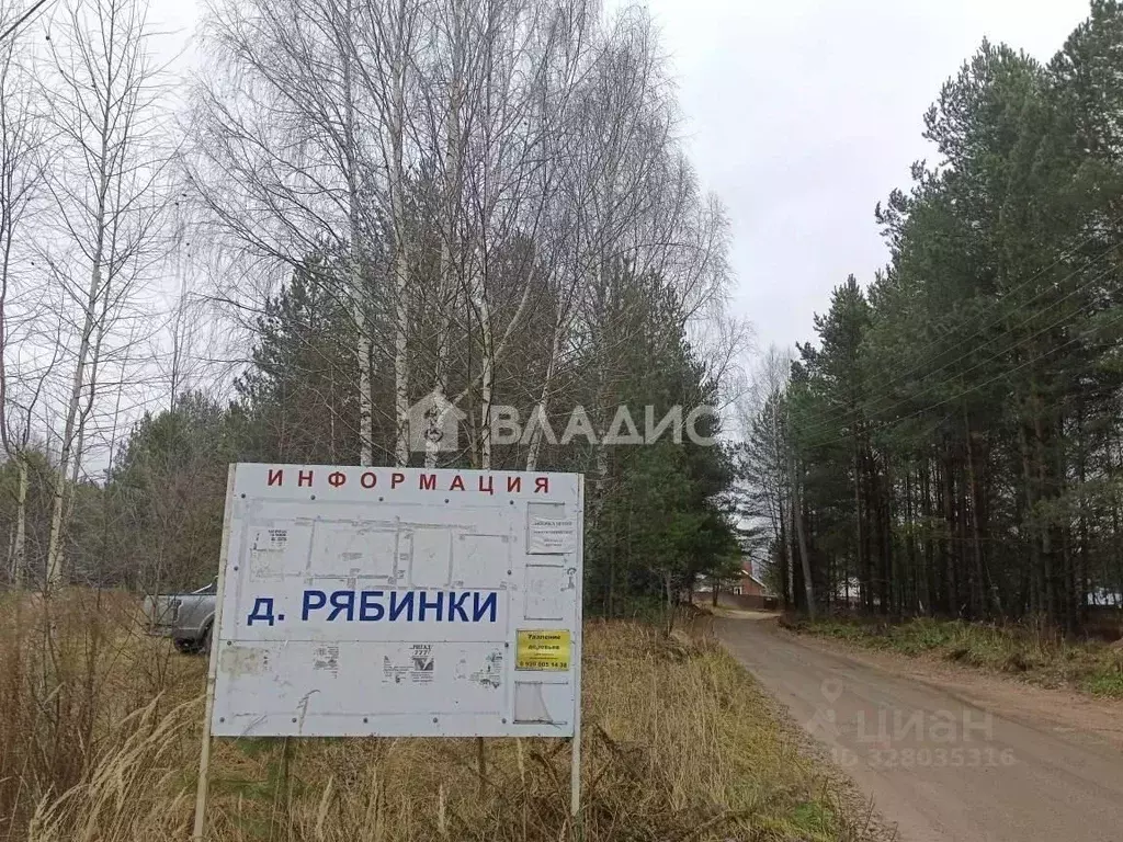 Участок в Нижегородская область, Бор муниципальный округ, д. Рябинки  ... - Фото 1