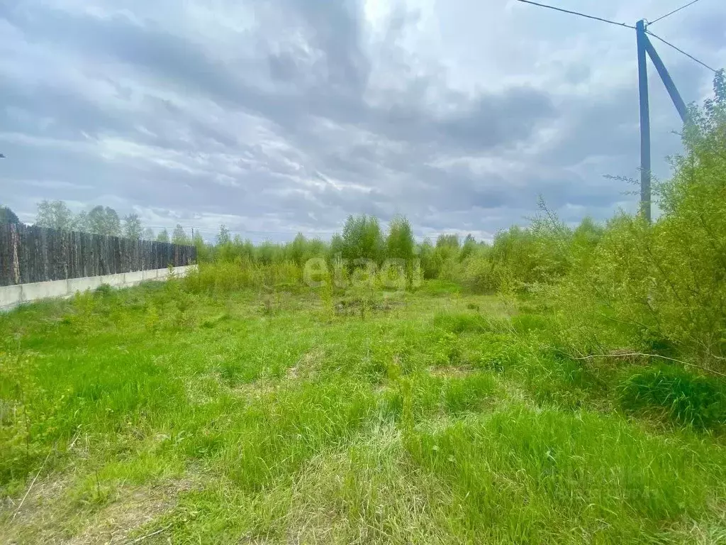 Участок в Томская область, Томский район, с. Тахтамышево ул. Звездная ... - Фото 1