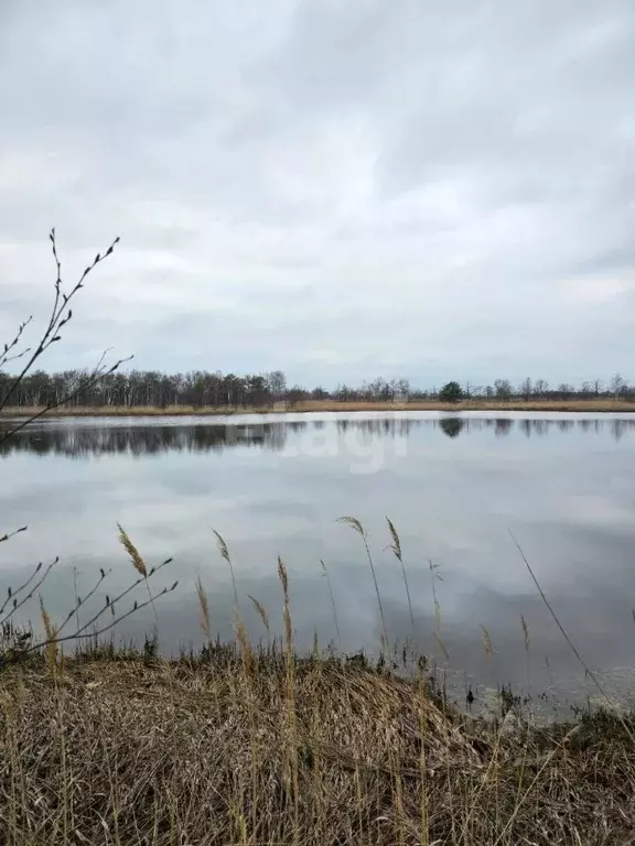 Участок в Сахалинская область, Анивский городской округ, с. Песчанское ... - Фото 0