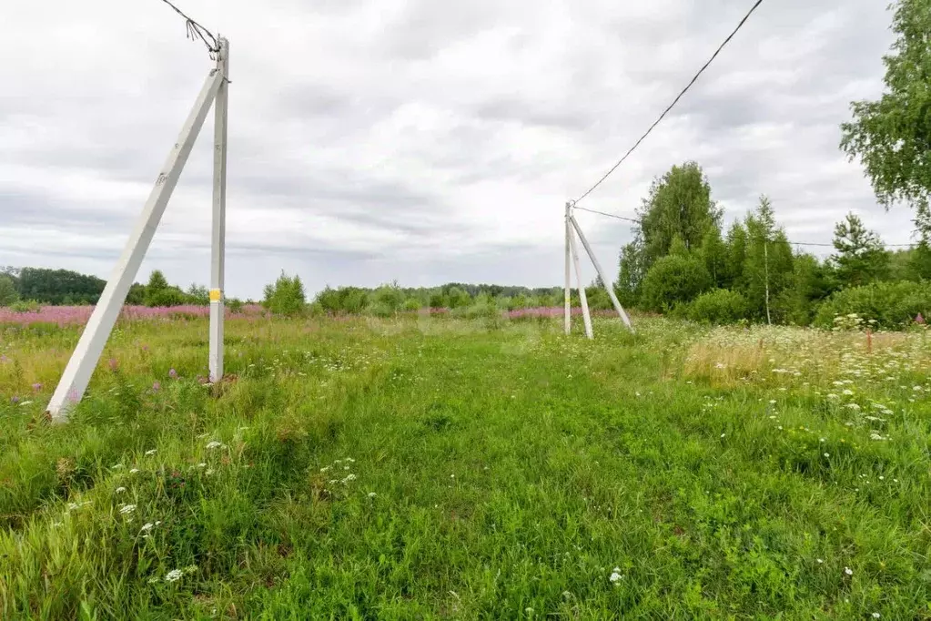Участок в Тюменская область, Тюменский район, с. Кулига  (8.0 сот.) - Фото 1