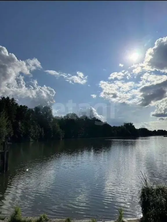 Участок в Свердловская область, Тугулымский муниципальный округ, с. ... - Фото 1