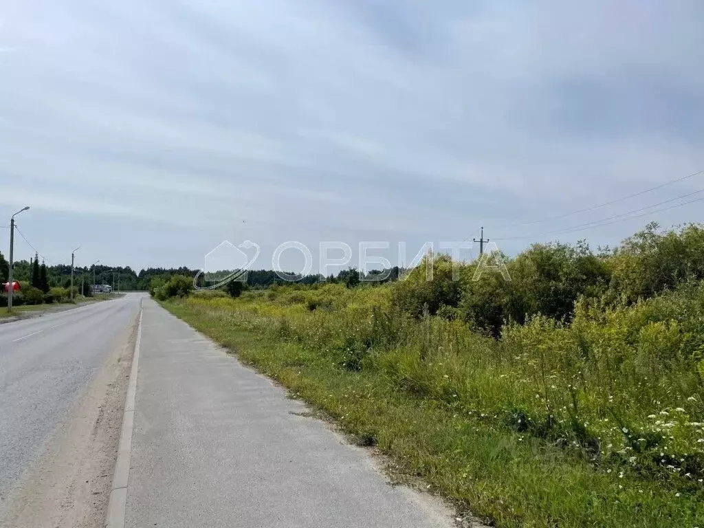 Участок в Тюменская область, Нижнетавдинский муниципальный округ, ... - Фото 2