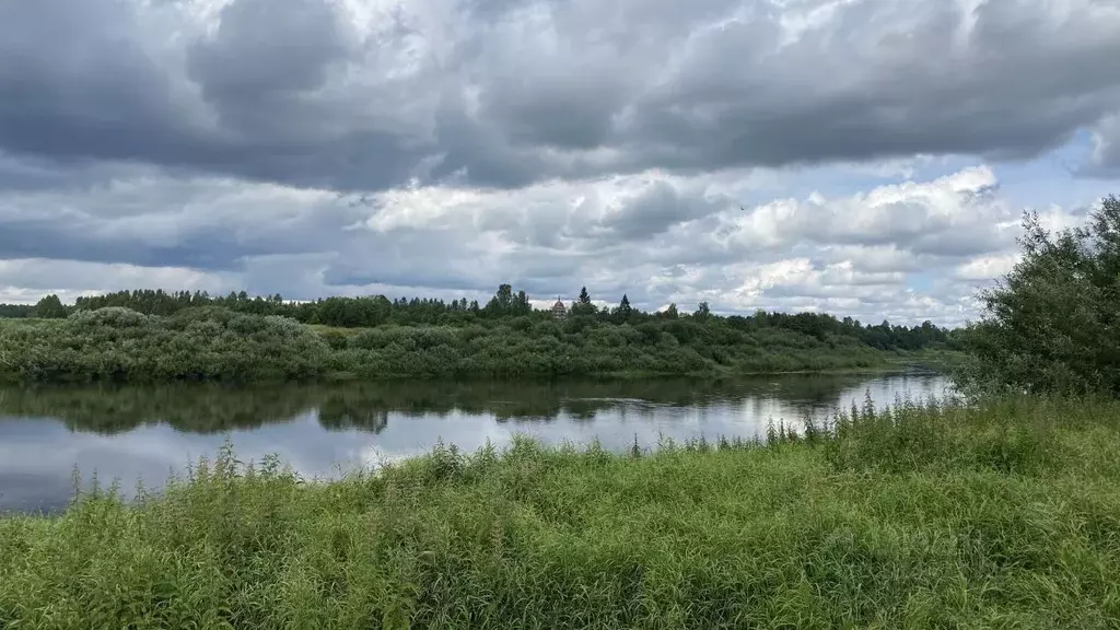 Участок в Новгородская область, Маловишерский район, Бургинское с/пос, ... - Фото 1