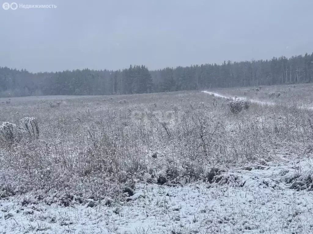Участок в Нижегородская область, Балахнинский муниципальный округ, ... - Фото 1