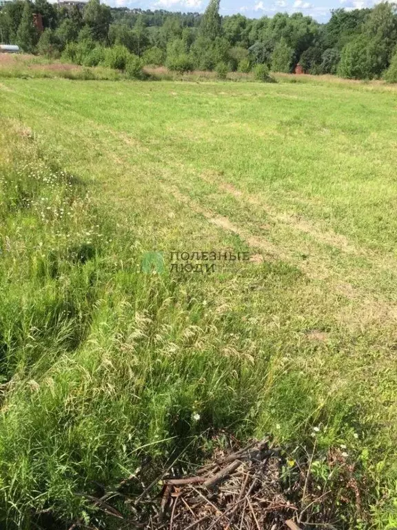 Участок в Тульская область, Алексин городской округ, с. Фомищево  ... - Фото 1