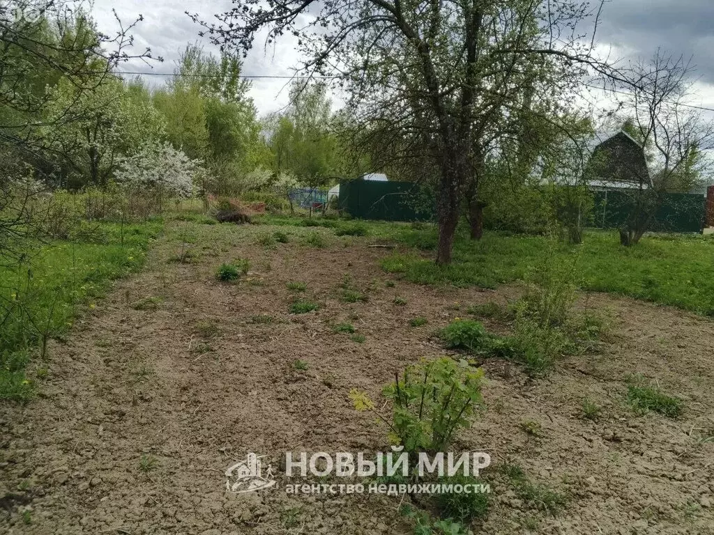 Участок в Бор, СНТ Надежда, 170 (10 м) - Фото 1