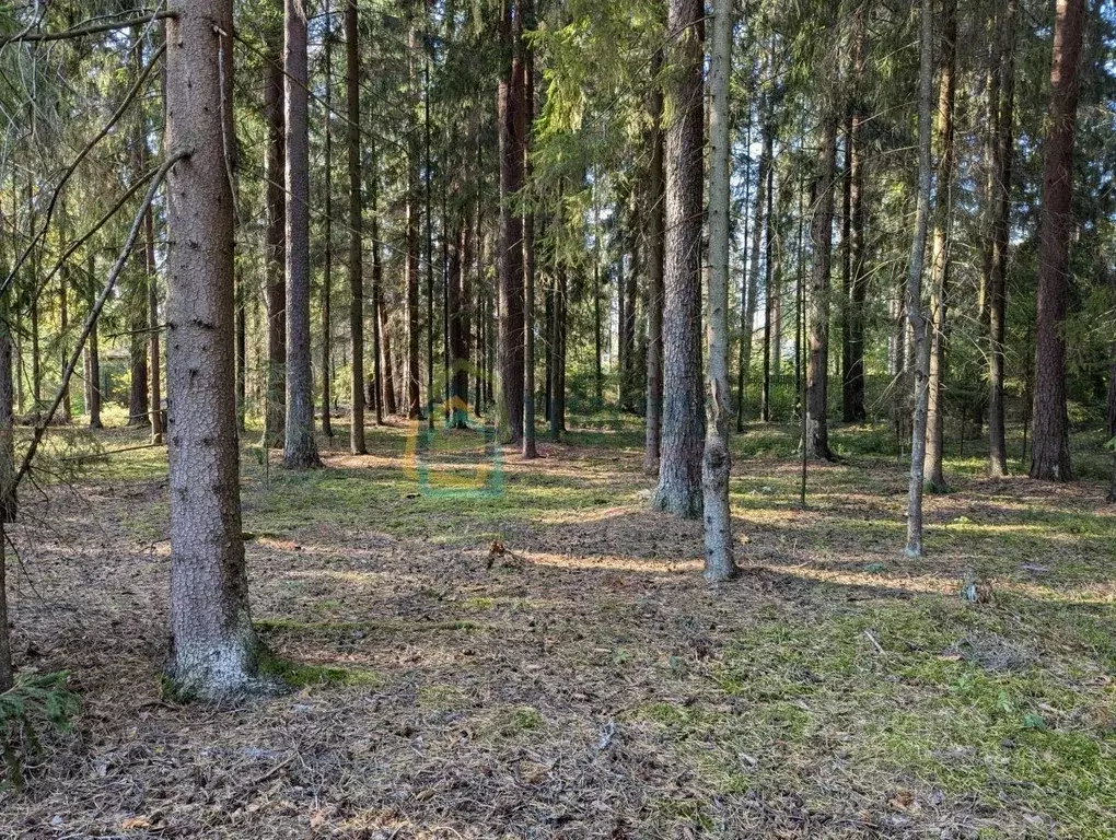 Участок в Ленинградская область, Гатчинский район, Вырица городской ... - Фото 0