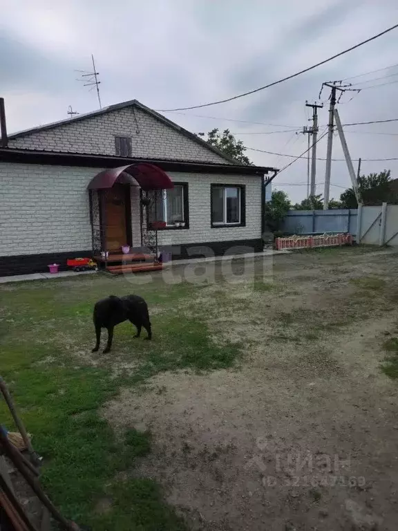 Дом в Амурская область, с. Ивановка ул. Строительная, 47 (105 м) - Фото 1