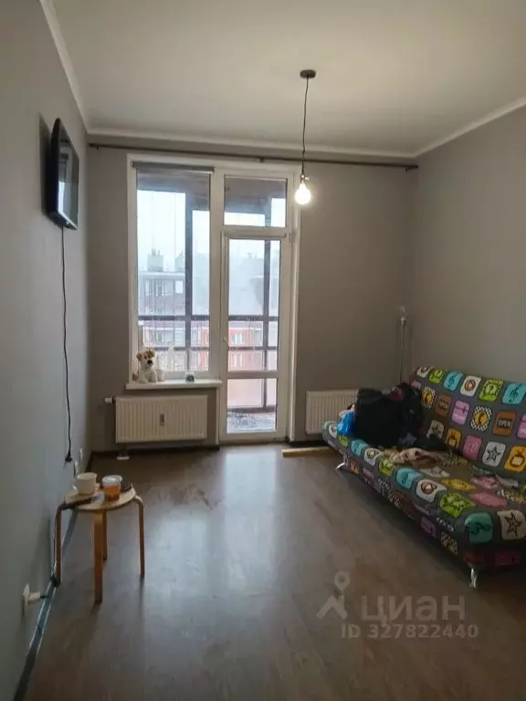 Студия Санкт-Петербург ул. Летчика Лихолетова, 14к2 (25.0 м) - Фото 1