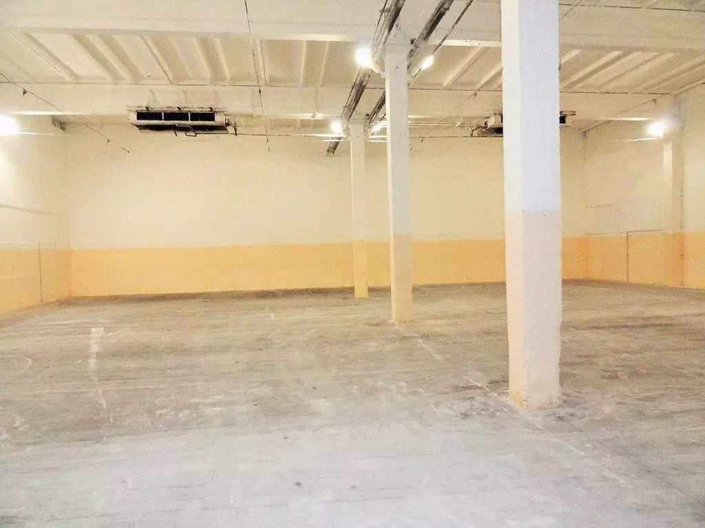 Склад в Ленинградская область, Гатчинский муниципальный округ, пос. ... - Фото 1