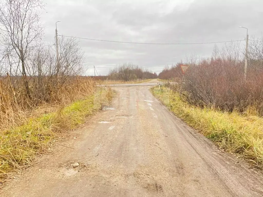 Участок в Вологодская область, Сокольский муниципальный округ, д. ... - Фото 2