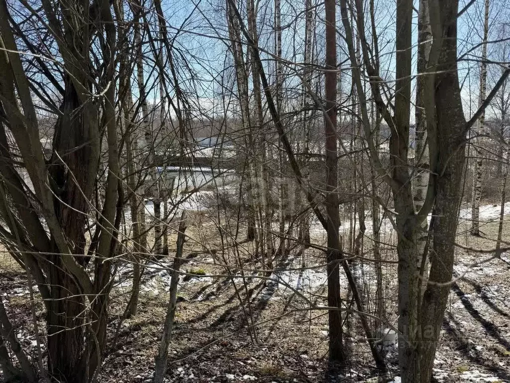 Участок в Ленинградская область, Всеволожский район, Колтушское ... - Фото 1